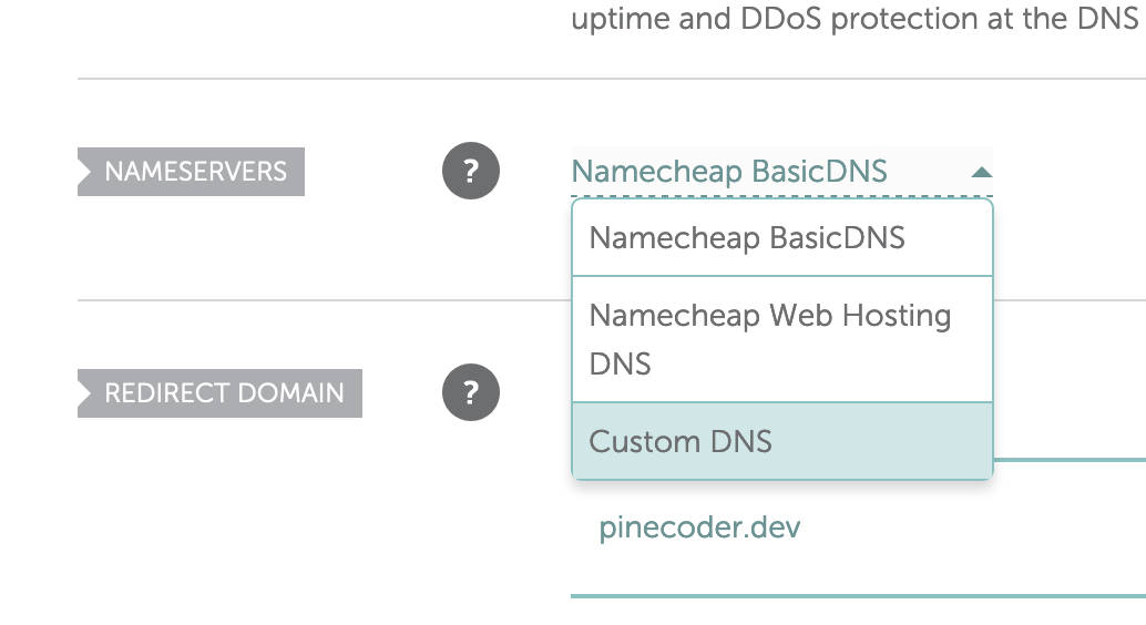 Select &ldquo;Custom DNS&rdquo; from the dropdown