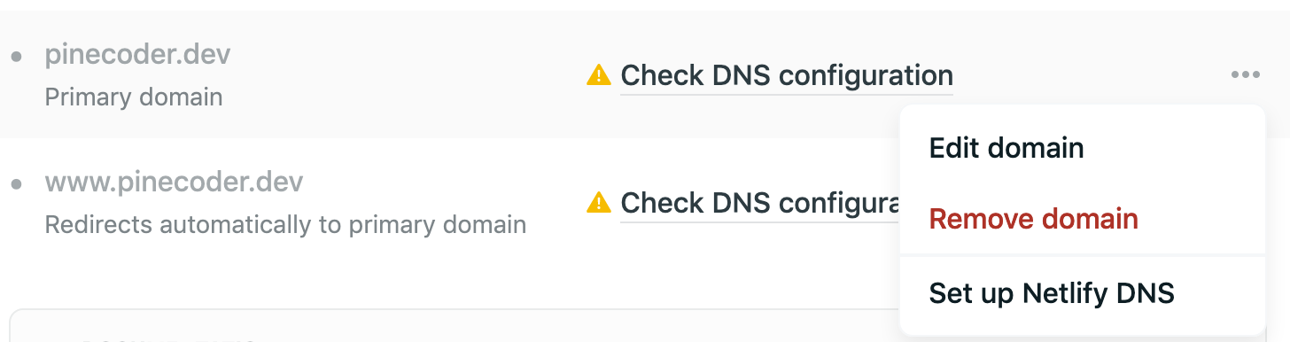 Netlify DNS prompt