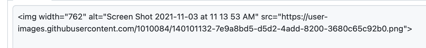 Screen Shot 2021-11-03 at 11.24.28 AM.png